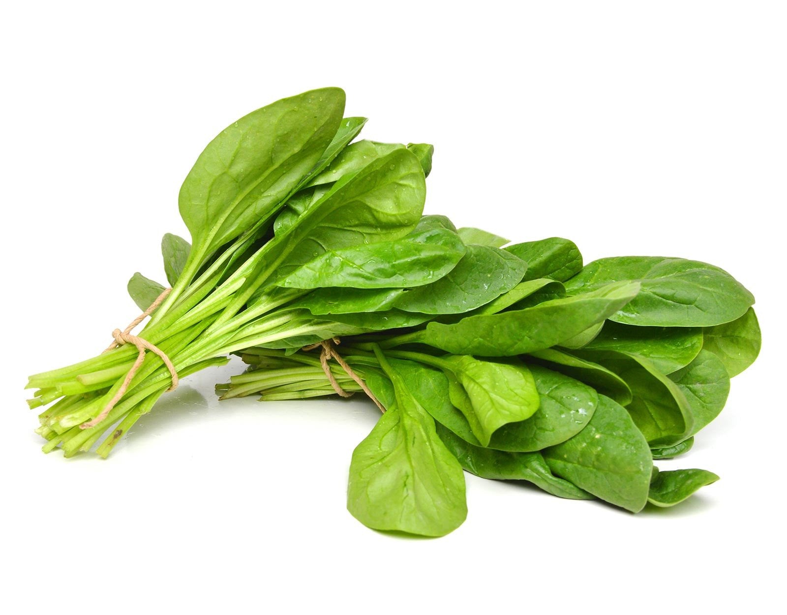 Spinach Hydroponically Grown